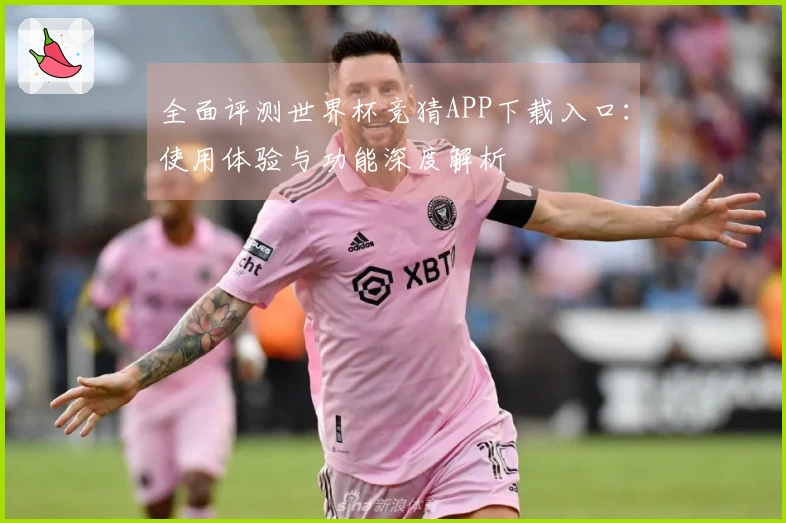 全面评测世界杯竞猜APP下载入口：使用体验与功能深度解析