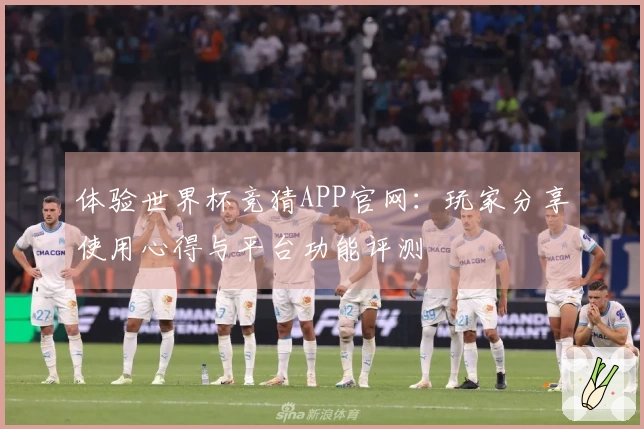 体验世界杯竞猜APP官网:玩家分享使用心得与平台功能评测