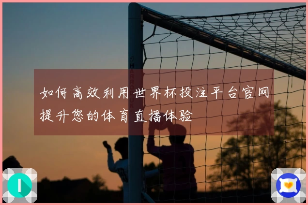 如何高效利用世界杯投注平台官网提升您的体育直播体验