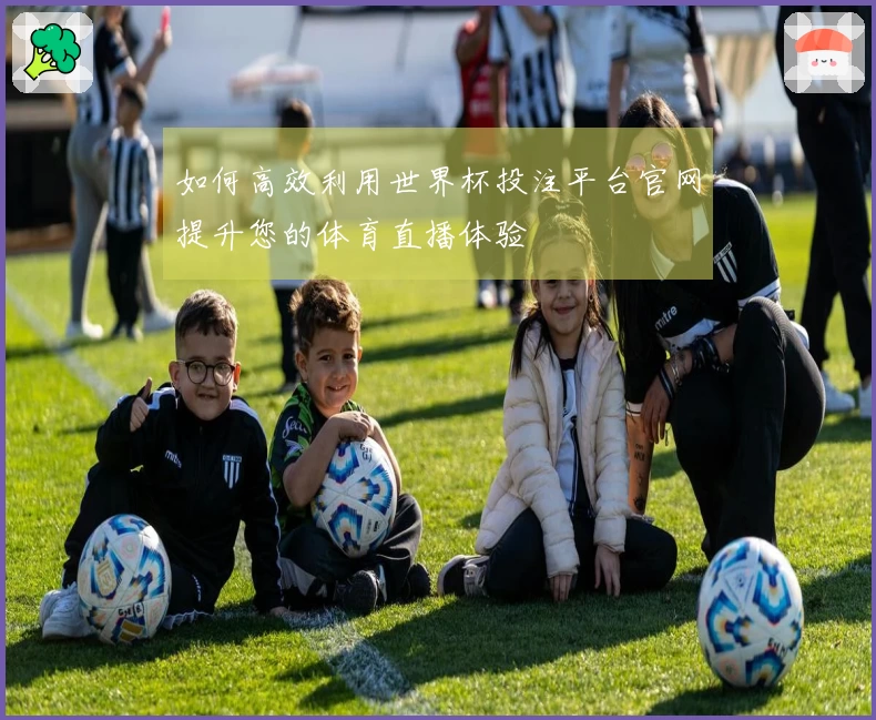 如何高效利用世界杯投注平台官网提升您的体育直播体验