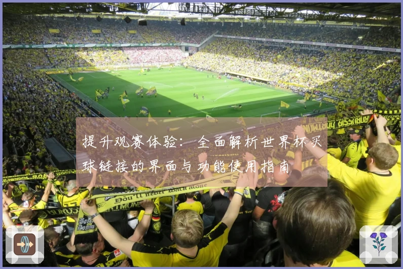 提升观赛体验：全面解析世界杯买球链接的界面与功能使用指南